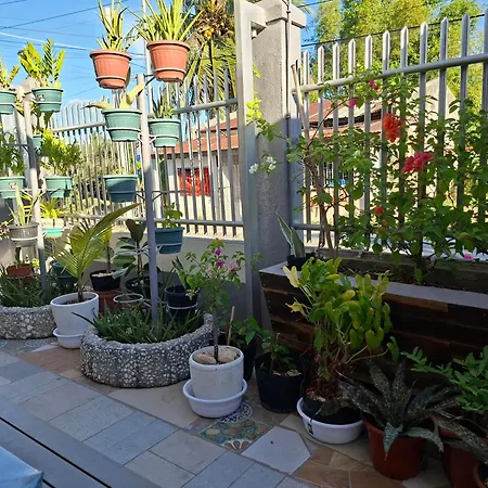 D Estelita Guest House